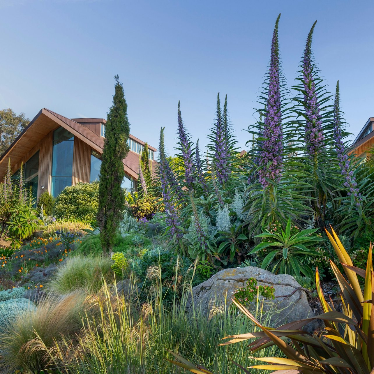 RHS Garden Hyde Hall: Entry Ticket - Photo 1 of 5